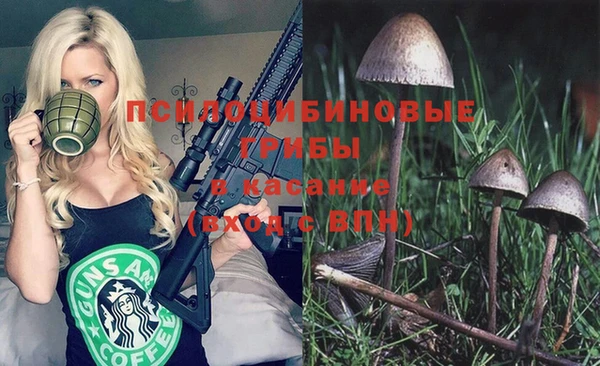 ГАЛЛЮЦИНОГЕННЫЕ ГРИБЫ Приозерск