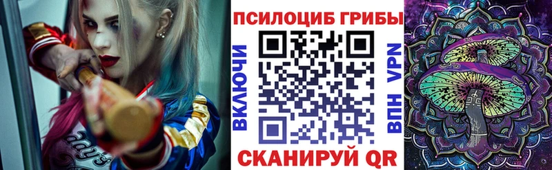 Купить закладки  Люберцы  Псилоцибиновые грибы Magic Shrooms